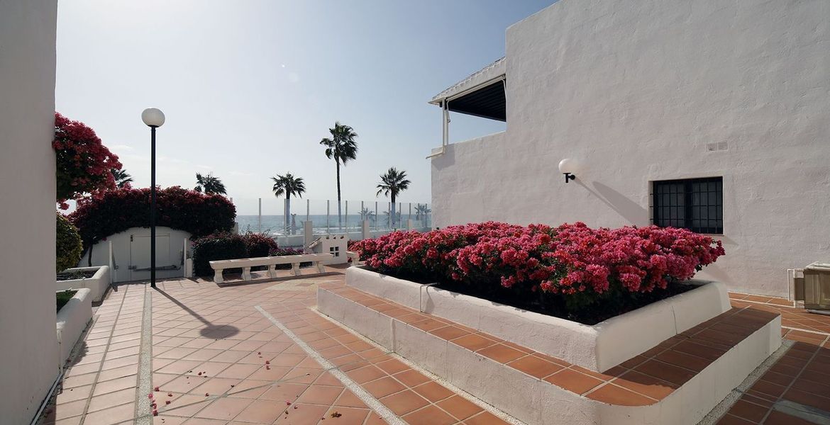 Apartment for Rent in Playas del duque