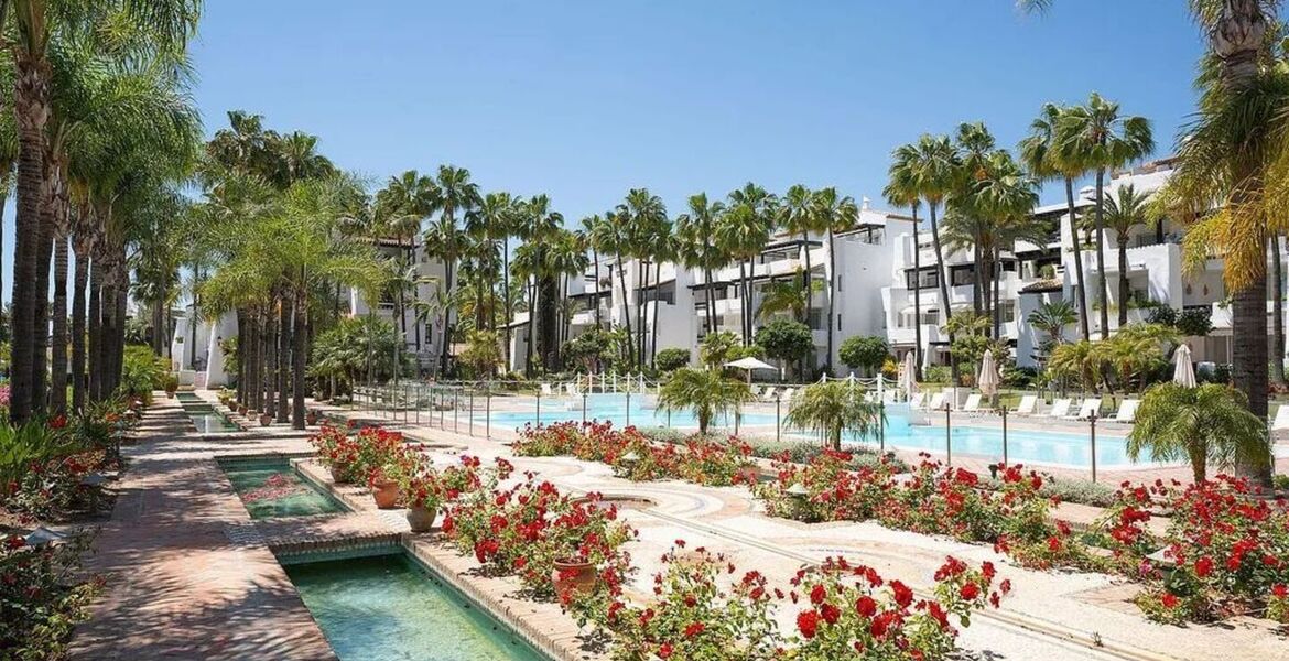 Frontline beach apartment in Puente Romano